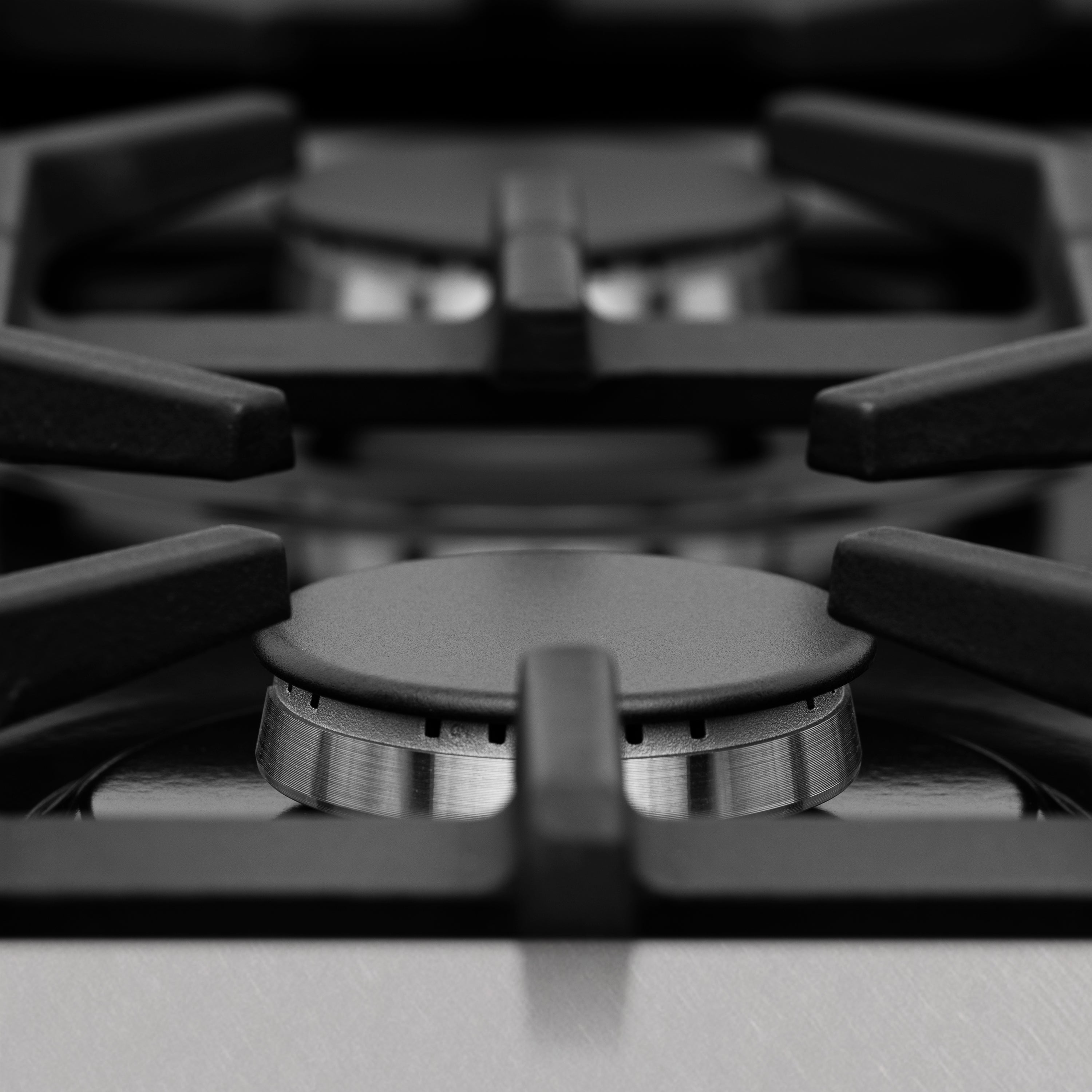 ZLINE 24” Professional DuraSnow® Dual Fuel Range RAS-SN-24