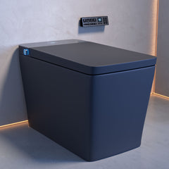 Concorde smart toilet
