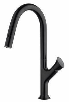 Fortis Kitchen Single Hole Pull Down Faucet with 1.8 GPM Flow Rate - 6459100 - The Home Selection