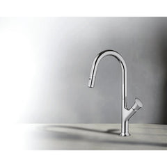 Fortis CICERO Single Control Pull-Down Kitchen Faucet - 6459100PC