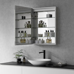 Altair Catola Rectangle 24" Frameless Surface-Mount/Recessed LED Lighted Bathroom Medicine Cabinet