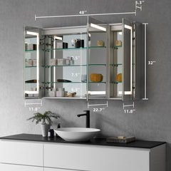 Altair Bojano Rectangle 48" Frameless Surface-Mount/Recessed LED Lighted Bathroom Medicine Cabinet