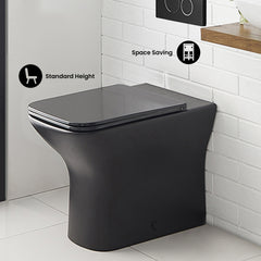 Carré Back-To-Wall Elongated Toilet Bowl - SM-WT5 - The Home Selection