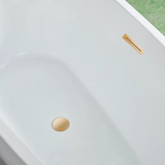 Vanity Art 59" Freestanding Acrylic Soaking Tub with Polished Overflow & Pop-Up Drain - VA6515-S
