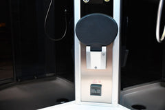 Platinum Corner Steam Shower with Sliding Glass Door, Black Tempered Glass - DZ901L
