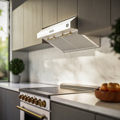 Forno Bari Espresso 30-Inch 400 CFM Under Cabinet Range Hood - FRHUC5255-30