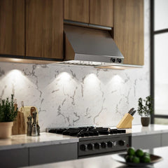 Forno Biagio 30" Wall Mounted Range Hood, Stainless Steel, Heavy Duty - FRHWM5009-30
