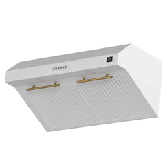 Forno Bari Espresso 30-Inch Under Cabinet Range Hood, 400 CFM, LED Lighting, Dishwasher-Safe Baffle Filters, 4-Speed Fan Control - FRHUC5255-30
