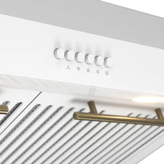 Forno Bari Espresso 30-Inch Under Cabinet Range Hood, 400 CFM, LED Lighting, Dishwasher-Safe Baffle Filters, 4-Speed Fan Control - FRHUC5255-30