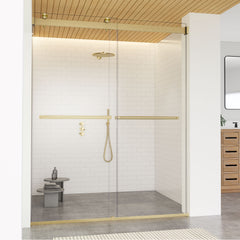 Altair Marcelo 60" W x 76" H By Pass Frameless Shower Door with Clear Glass