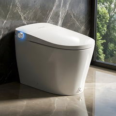 Altair Natalie Smart Toilet with Tank Flush Bidet Wash, Auto Open Lid, 1.06 Gallons Auto Flush, Heat Seat, Warm Wash/Dryer, Soft Closing, Night Light, Remote Control