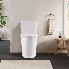 Altair Soroca Side-Flush Elongated One-Piece Toilet with ADA Chair Height