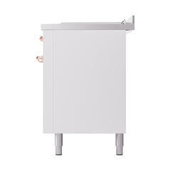 ILVE Nostalgie II Noblesse 60 inch Dual Fuel Range 7 Sealed Burners + Griddle + French Top Solid Door - UN60FSQNMP