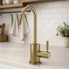 WHITEHAUS Point of Use Cold Water Drinking Faucet with Gooseneck Swivel Spout - WHFH-C1010 - The Home Selection