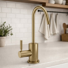 WHITEHAUS Point of Use Instant Hot Water Drinking Faucet with Gooseneck Swivel Spout - WHFH-H1010 - The Home Selection