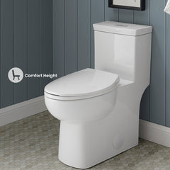 Swiss Madison Classé One-Piece Elongated Toilet Dual-Flush 1.1/1.6 gpf - SM-1T117 - The Home Selection