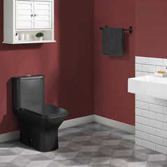 Swiss Madison Carré One-Piece Square Toilet Dual-Flush 1.1/1.6 gpf - SM-1T256 - The Home Selection
