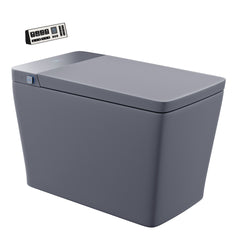 Concorde smart toilet Matte Gray