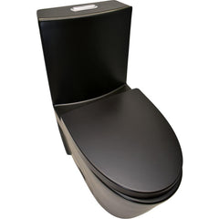 Alpha Model BT-CL120 – Black Water Efficient Elongated One-Piece Toilet - BT-CL120 - The Home Selection