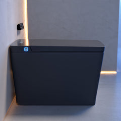 Concorde smart toilet