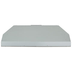 Coyote 42" Outdoor Insert, 30" Deep - C1LINER42 - The Home Selection