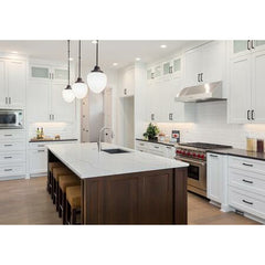 Forte Lucca Series 40 Inch Under Cabinet Convertible Hood - LUCCA40 - The Home Selection