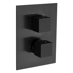 Fortis Half Inch Thermostatic Valve Trim with Diverter and Volume Control - 84691SQ - The Home Selection