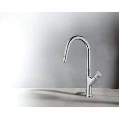 Fortis Kitchen Single Hole Pull Down Faucet with 1.8 GPM Flow Rate - 6459100 - The Home Selection