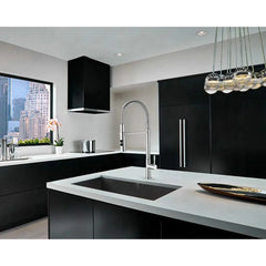 Fortis MARCUS Culinary Single Handle Pull-Down Kitchen Faucet - 43555S0 - The Home Selection