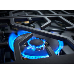 Forza 30” Professional Dual Fuel Range - FR304DF - The Home Selection