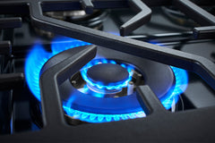 Forza 36” Professional Gas Range SE - FR366SE