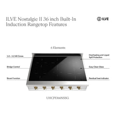 ILVE Nostalgie II 36 Inch Built-In Induction Rangetop with 6 Elements (Stainless Steel, Brass) - UHCPI366NSSG - The Home Selection
