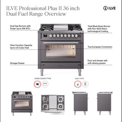 ILVE Professional Plus II 36" Dual Fuel Range - UP36F - The Home Selection