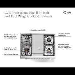 ILVE Professional Plus II 36" Dual Fuel Range - UP36F - The Home Selection