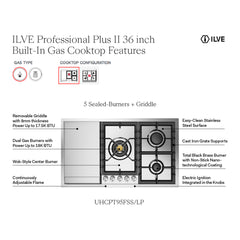 ILVE Professional Plus II 36 inch Built-In Gas Cooktop with Total Black Brass Burners, in Stainless Steel - UHCPT95 - The Home Selection