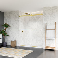Altair Bolani 60" W x 76" H By Pass Frameless Exposed Roller Shower Door with Clear Glass