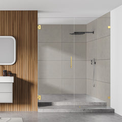 Altair Roisin 60" W x 74" H Frameless Hinged Shower Door with Clear Glass