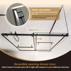 Altair Belizzi 56" W x 76" H By Pass Frameless Exposed RollerShower Enclosure in Matte Black with Clear Glass