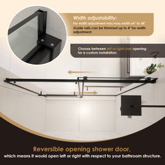 Altair Belizzi 68" W x 76" H By Pass Frameless Exposed Roller Shower Door in Matte Black with Clear Glass