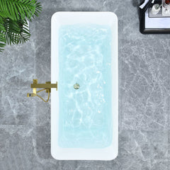 Altair Carani 65" x 28" Flatbottom Freestanding Acrylic Soaking Bathtub with Drain and Overflow - 52665-BAT-WH