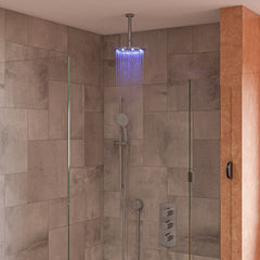 Alfi 8" Round Multi Color LED Rain Shower Head - Brushed Nickel