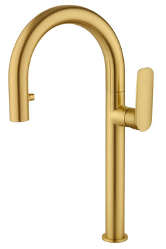 Fortis REMUS Pull-Down Kitchen Faucet - Brushed Gold