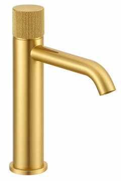 Fortis Agrippina Single Handle Vessel Faucet - Brushed Gold