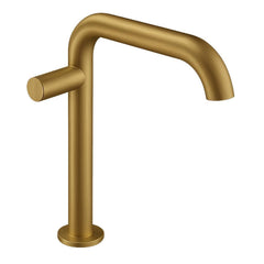 Fortis Agrippina Side Handle Medium Bathroom Faucet - TP211ME0C