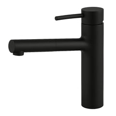 Fortis NERO Single Handle Pull-Out Kitchen Faucet - Matte Black