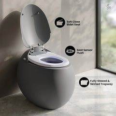 Swiss Madison Plaisir Smart One-Piece 1.28 GPF Single Flush Toilet - SM-ST0701 - The Home Selection