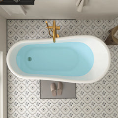 Vanity Art 67 - Acrylic Clawfoot Freestanding Bathtub – Timeless Design, Modern Luxury - VA6311-RL - The Home Selection