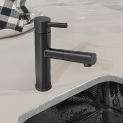 Whitehaus Waterhaus Solid Stainless Steel, Single Hole, Single Lever Kitchen Faucet with Pull-Out Head - WHS13