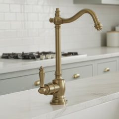 Whitehaus Point of Use Instant Hot Water Drinking Faucet with Traditional Spout - WHFH-H1006-AB