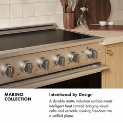 ZLINE 24 In. Marino Autograph Induction Range in Stainless Steel with a White Matte Door and Champagne Bronze Accents - MINRZ-WM-24-CB